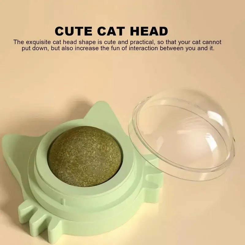 Lickable Catnip Dental Care Balls - Interactive Treat & Teeth Cleaning Toy