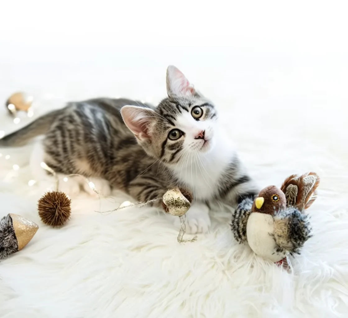 Chirping Bird Interactive Cat Toy - Electronic Plush Toy with Realistic Sounds & Feathers