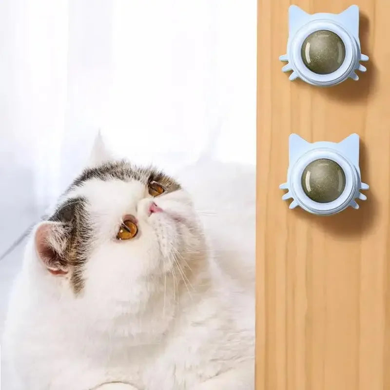 Lickable Catnip Dental Care Balls - Interactive Treat & Teeth Cleaning Toy