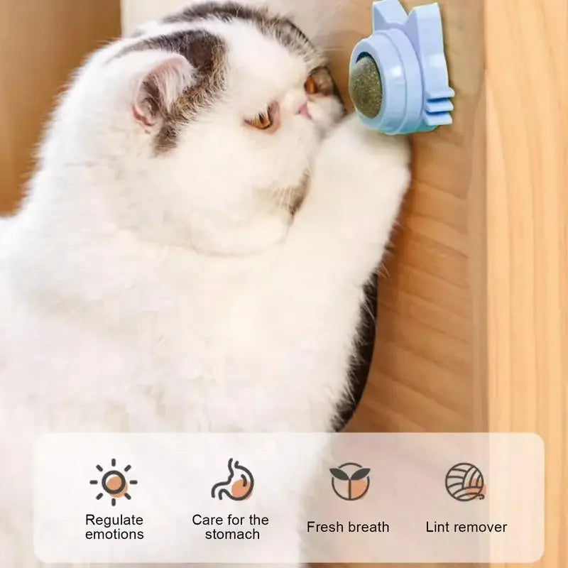 Lickable Catnip Dental Care Balls - Interactive Treat & Teeth Cleaning Toy