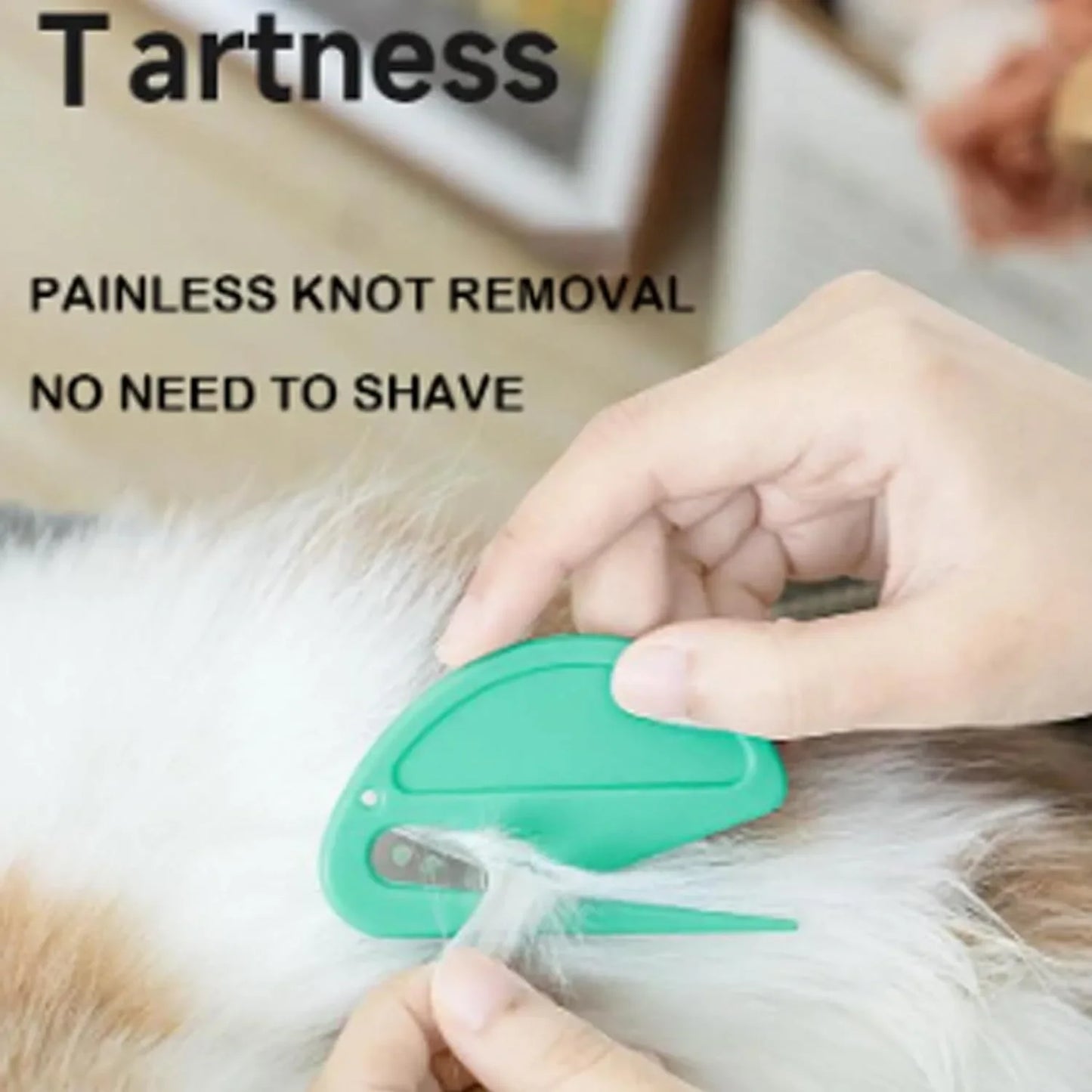 Ensemble Professionnel 5 Pièces Coupe-Nœuds pour Animaux - Outils Sécuritaires Anti-Nœuds