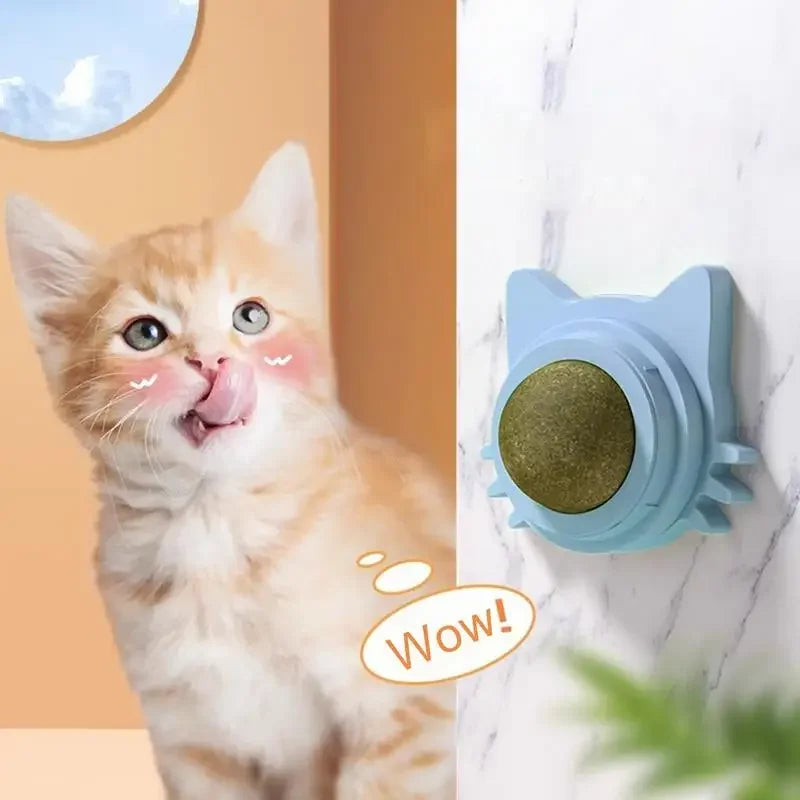 Lickable Catnip Dental Care Balls - Interactive Treat & Teeth Cleaning Toy