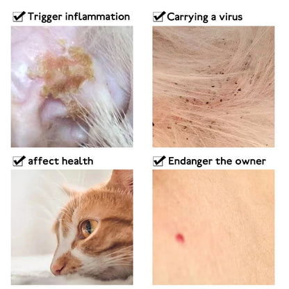 8-Month Protection Flea & Tick Collar - Breakaway Safety Design