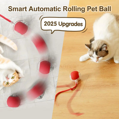 Smart Rolling Mouse Ball - USB Rechargeable Interactive Cat Toy