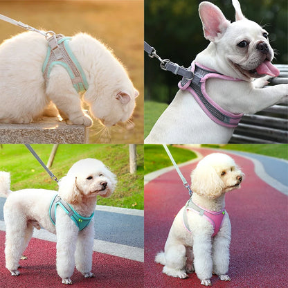 Adjustable Pet Harness & Leash Set - Safe Walking System
