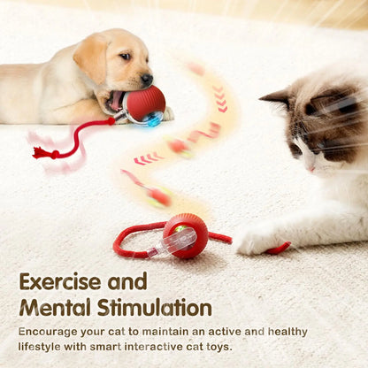 Smart Rolling Mouse Ball - USB Rechargeable Interactive Cat Toy