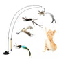 Interactive Bird Wand - Suction Cup Feather Teaser with Bell