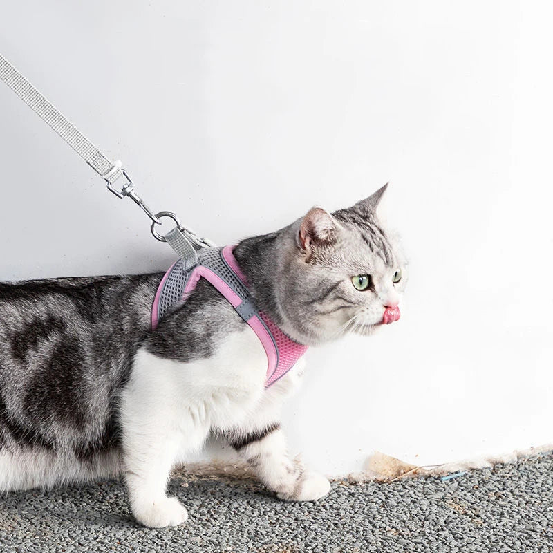 Adjustable Pet Harness & Leash Set - Safe Walking System