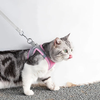 Adjustable Pet Harness & Leash Set - Safe Walking System