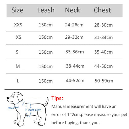 Adjustable Pet Harness & Leash Set - Safe Walking System