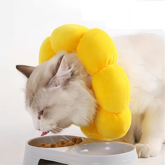 Soft Cotton Sunflower Recovery Collar - Post-Surgery Protective E-Collar