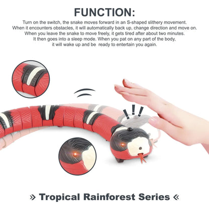 Smart Motion-Activated Snake Toy - USB Rechargeable Interactive Pet Teaser