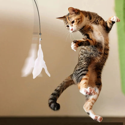 Interactive Bell & Feather Wand - Suction Cup Cat Teaser with Extended Pole