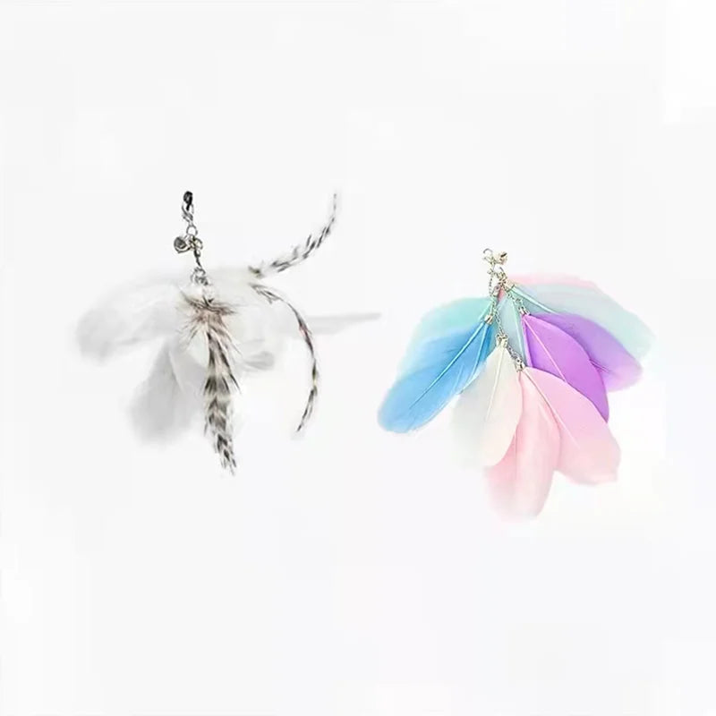 Interactive Bird Wand - Suction Cup Feather Teaser with Bell