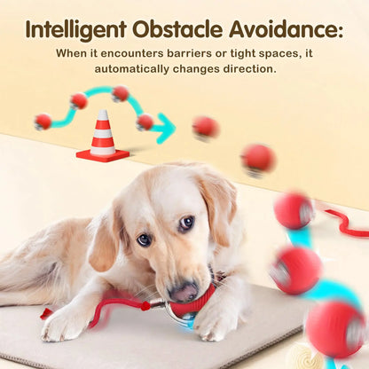 Smart Rolling Mouse Ball - USB Rechargeable Interactive Cat Toy