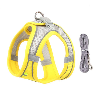 Adjustable Pet Harness & Leash Set - Safe Walking System