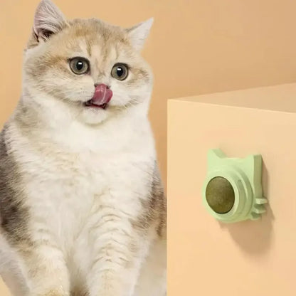 Lickable Catnip Dental Care Balls - Interactive Treat & Teeth Cleaning Toy