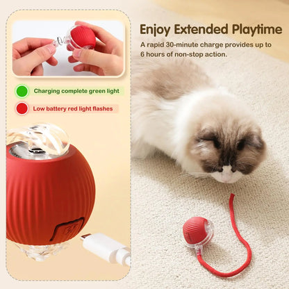Smart Rolling Mouse Ball - USB Rechargeable Interactive Cat Toy