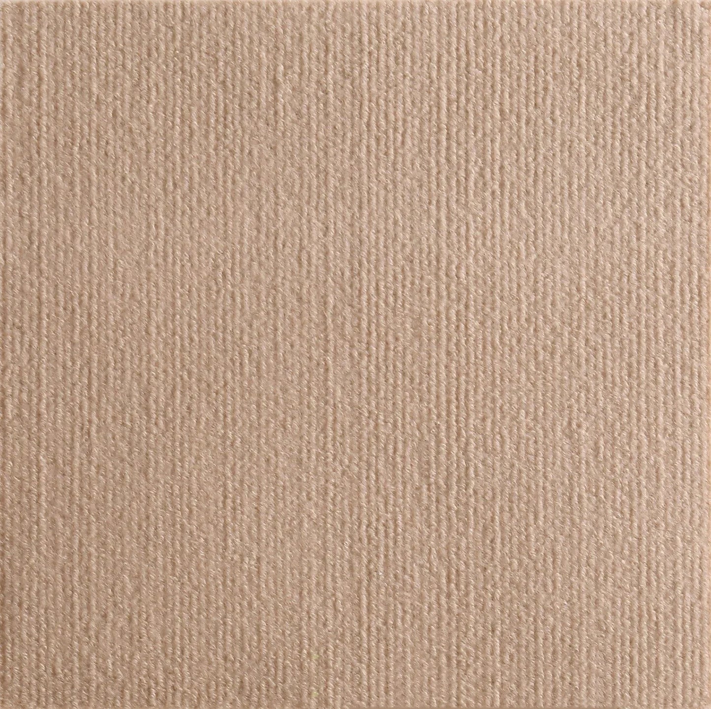 Self-Adhesive Cat Scratch Protection Mat - Furniture Guard