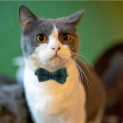 Bow & Bell Pet Collar - Cute Adjustable Design for Cats & Small Dogs