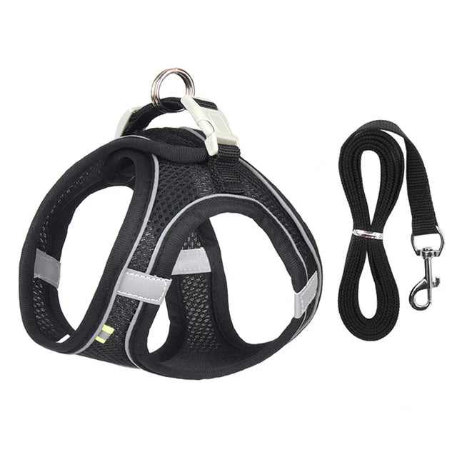 Adjustable Pet Harness & Leash Set - Safe Walking System