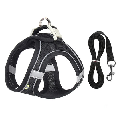 Adjustable Pet Harness & Leash Set - Safe Walking System